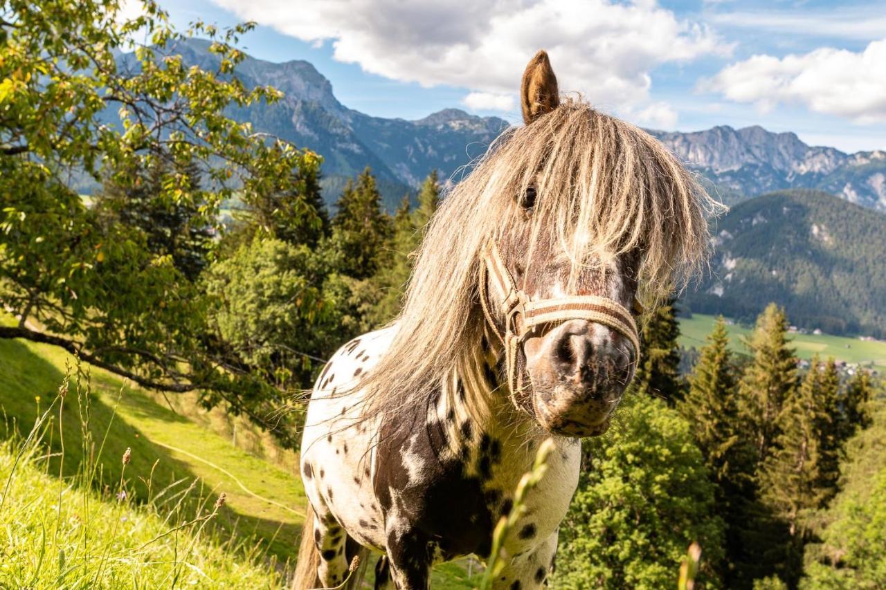 Appartamento Bucheggerhof Schladming Esterno foto
