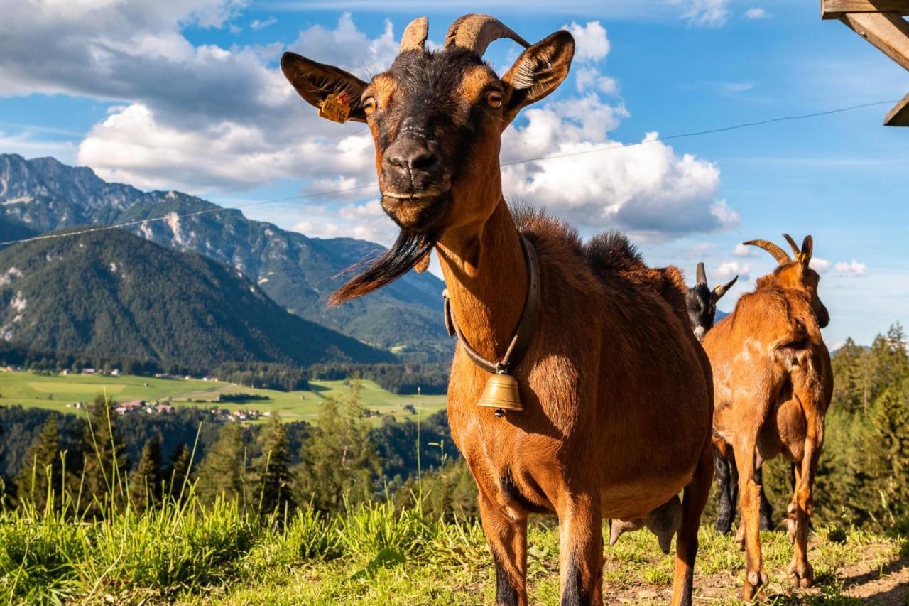 Appartamento Bucheggerhof Schladming Esterno foto